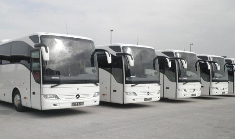 Hainaut: Bus company in Mons in Mons and Wallonia