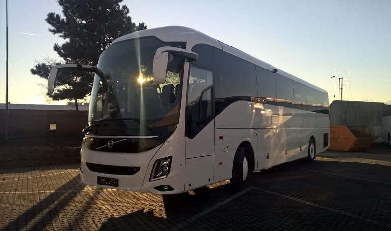 Hainaut: Bus hire in Binche in Binche and Wallonia