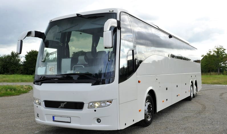 Wallonia: Buses agency in Namur in Namur and Sambreville
