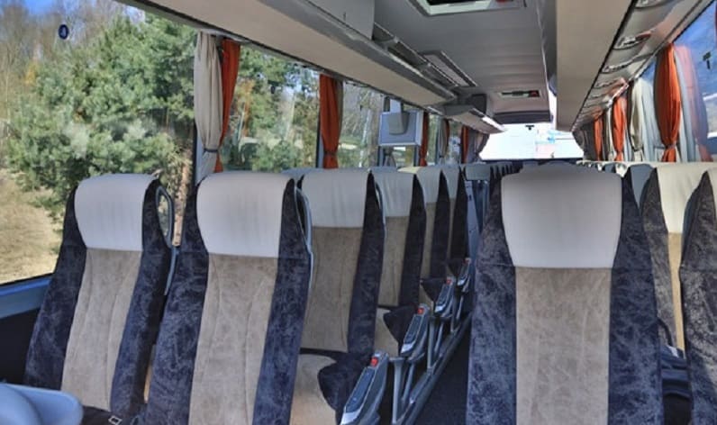 Wallonia: Coach charter in Namur in Namur and Gembloux